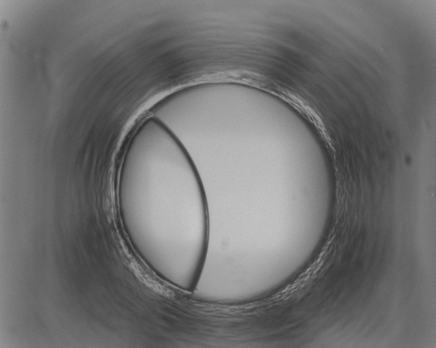 X0000083620792200703121627