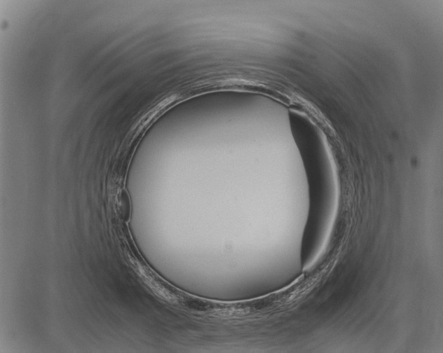 X0000083620793200703121627