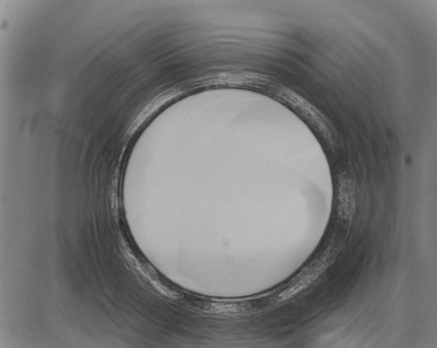 X0000083620794200703121627