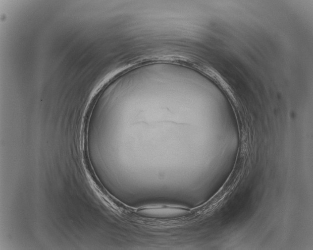 X0000083620795200703121627