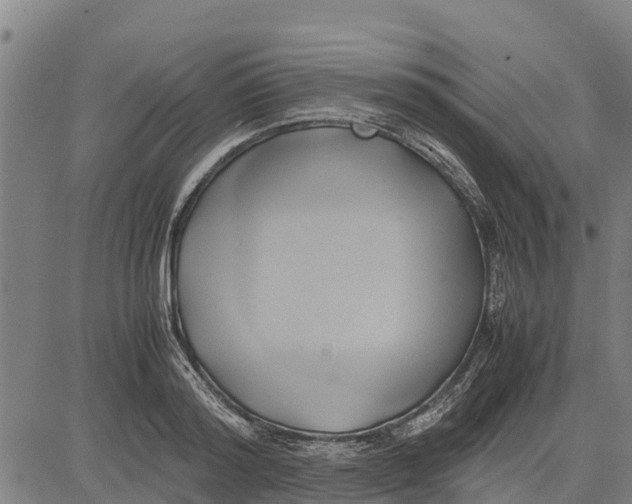 X0000083620796200703121627