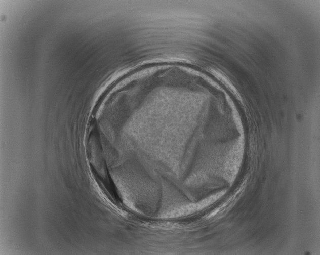 X0000083620797200703121627