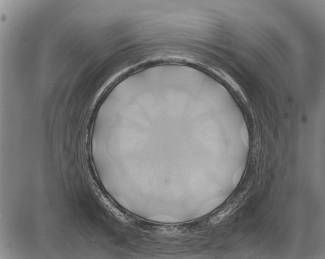 X0000083620799200703121627