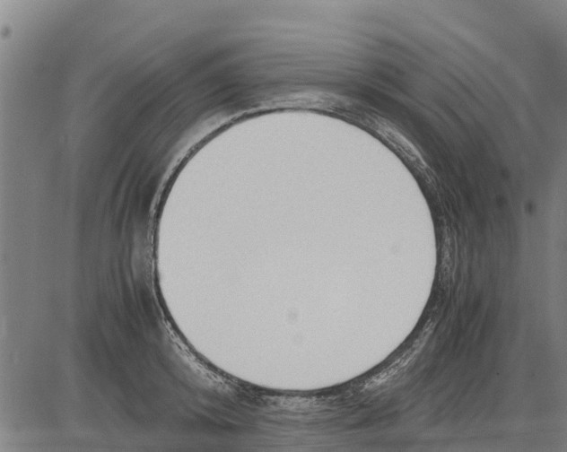 X0000083620800200703121627