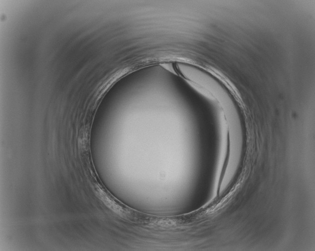 X0000083620801200703121627