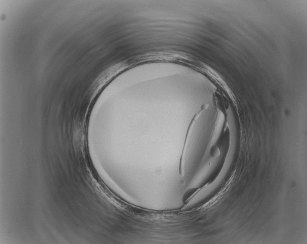 X0000083620802200703121627