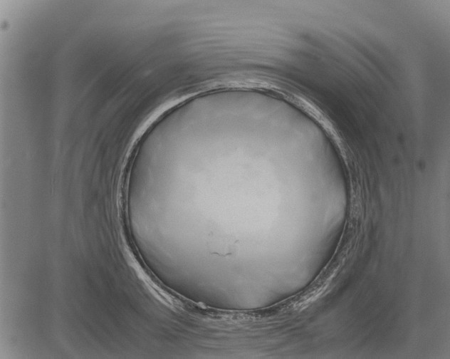 X0000083620803200703121627