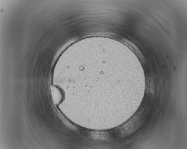 X0000083620804200703121627