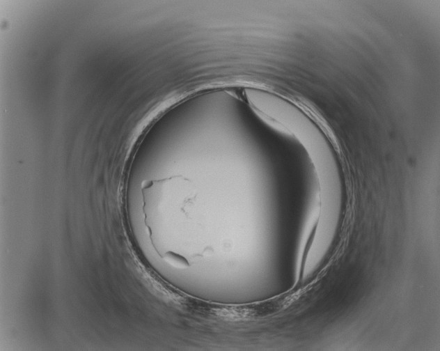 X0000083620805200703121627