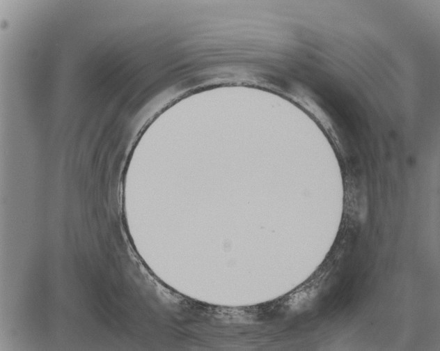 X0000083620807200703121627