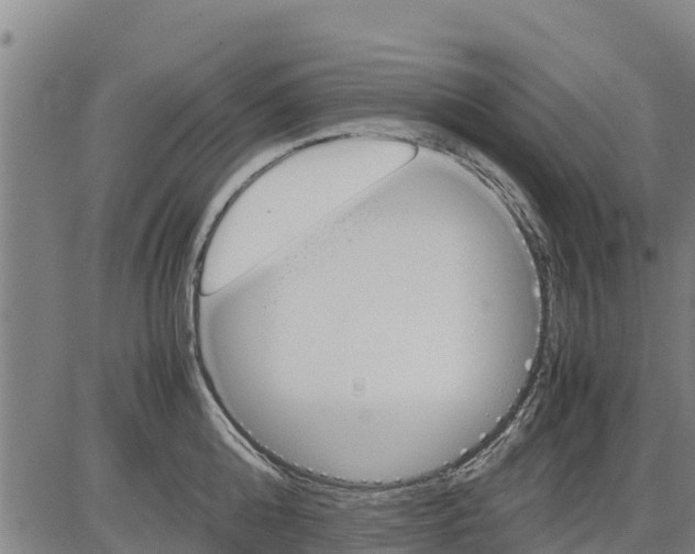 X0000083620808200703121627