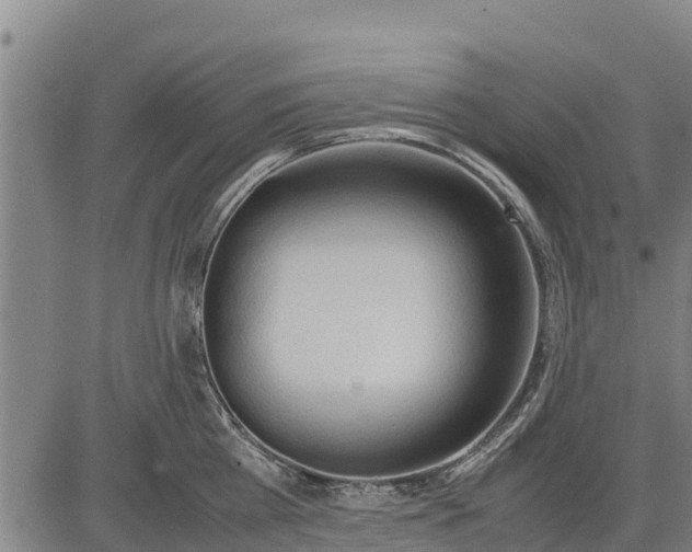 X0000083620809200703121627