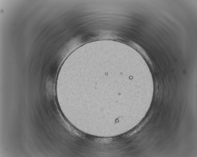 X0000083620810200703121627