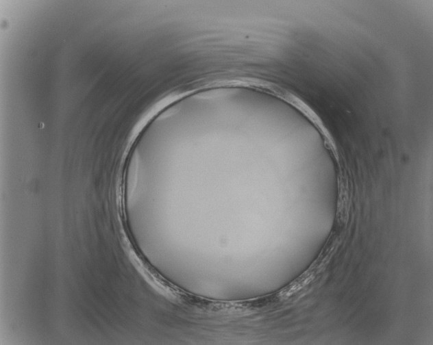 X0000083620811200703121627