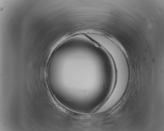 X0000083620813200703121627