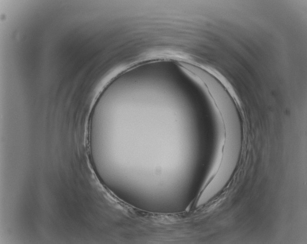 X0000083620815200703121627