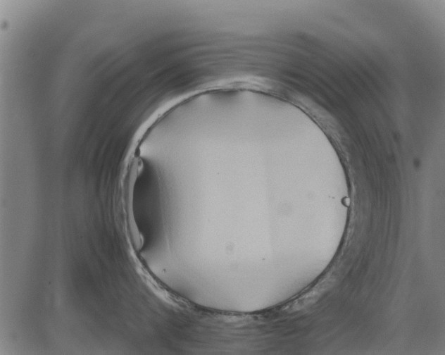 X0000083620816200703121627