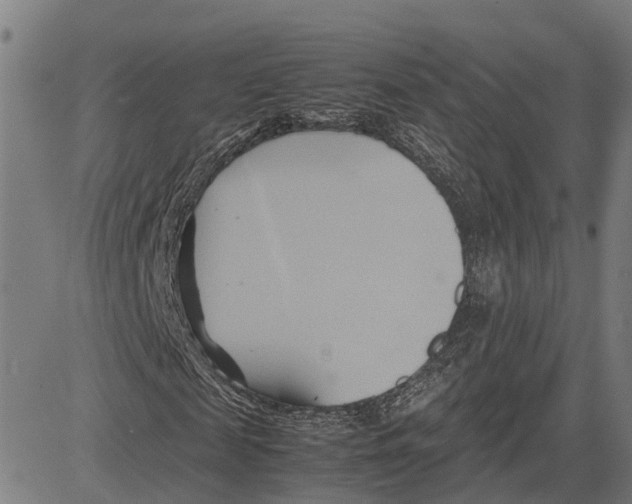 X0000083620817200703121626