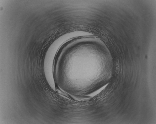 X0000083620818200703121626