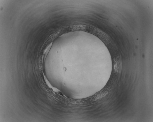 X0000083620819200703121626