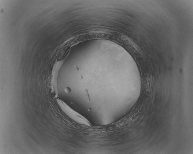 X0000083620821200703121626