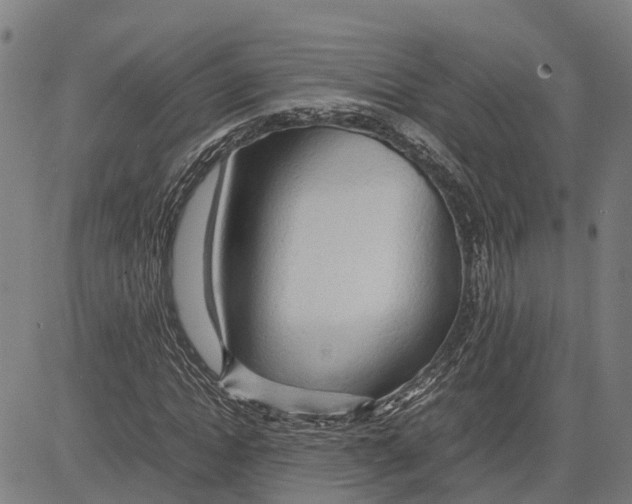 X0000083620822200703121626