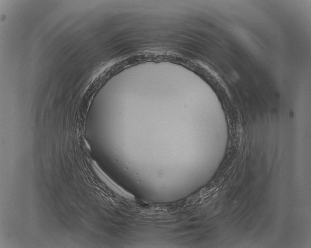 X0000083620823200703121626