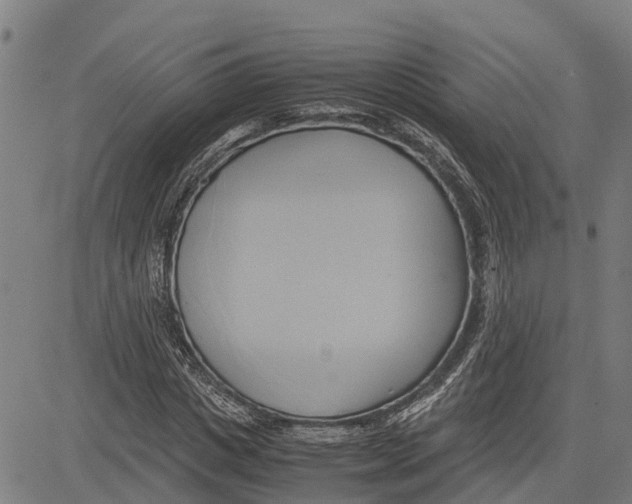 X0000083620825200703121626