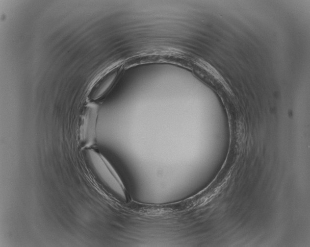 X0000083620826200703121626