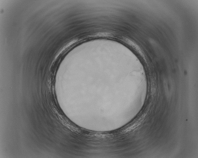 X0000083620827200703121626