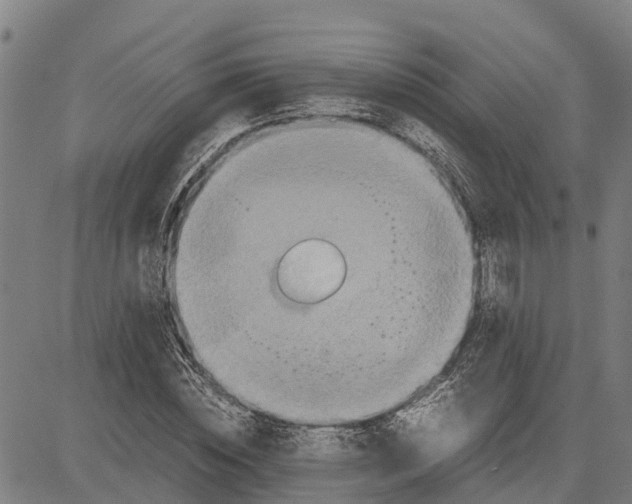 X0000083620828200703121626