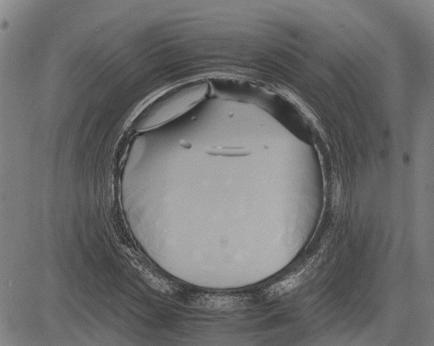 X0000083620829200703121626