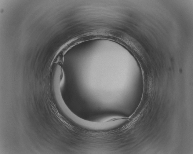 X0000083620830200703121626