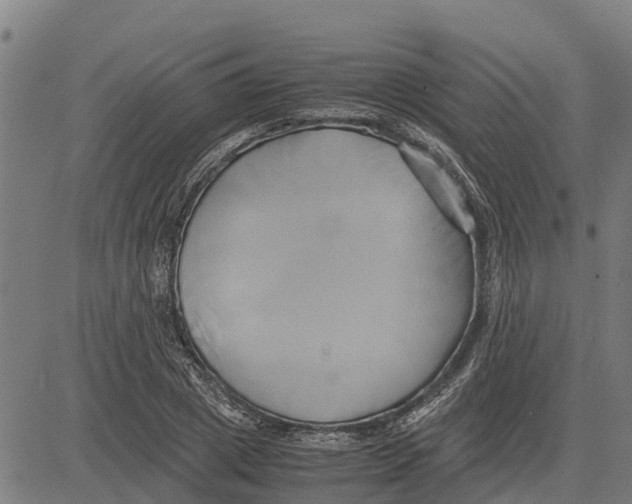 X0000083620833200703121626