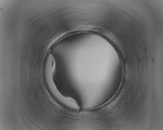 X0000083620834200703121626