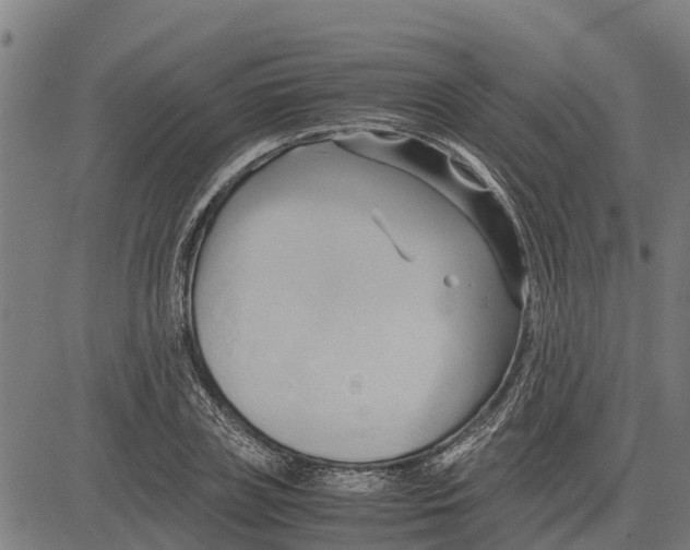 X0000083620835200703121626