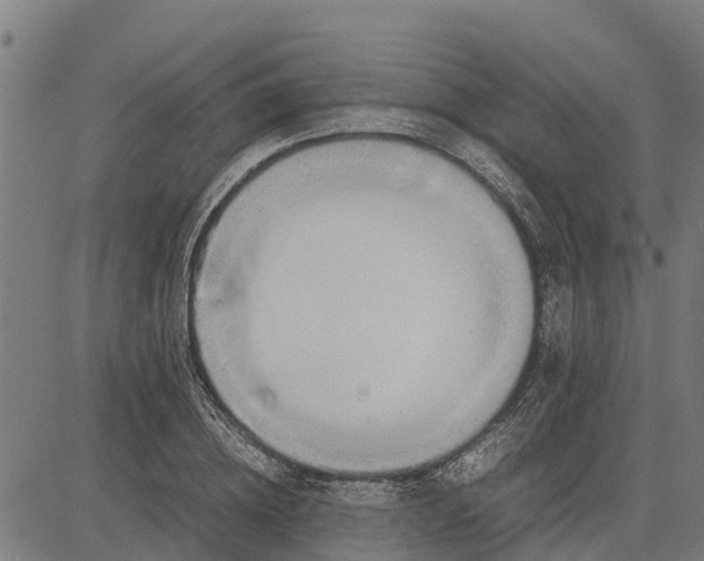 X0000083620836200703121626