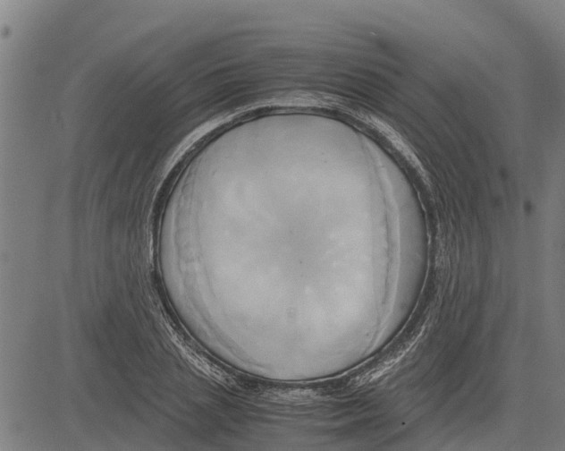 X0000083620837200703121626