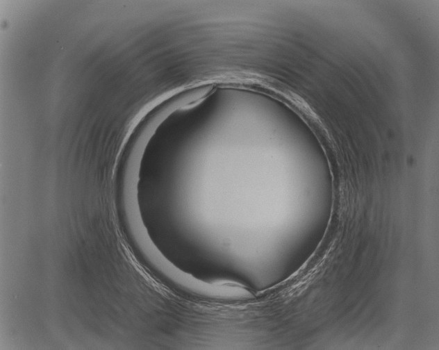 X0000083620838200703121626