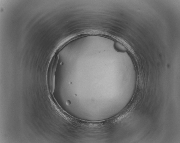 X0000083620839200703121626