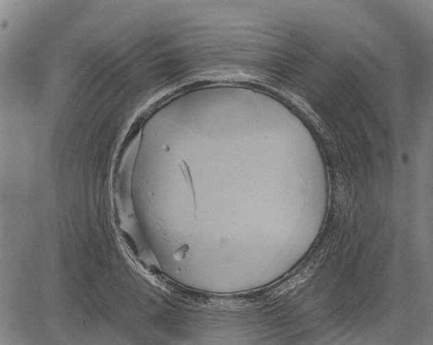 X0000083620840200703121626