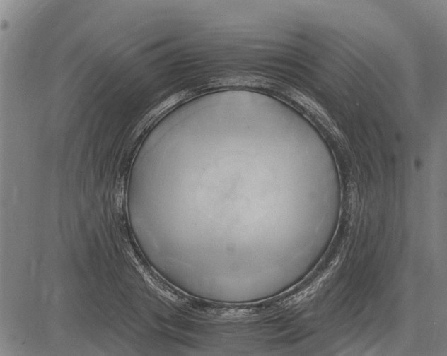 X0000083620841200703121626