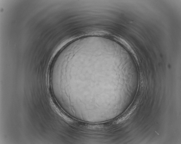 X0000083620843200703121626