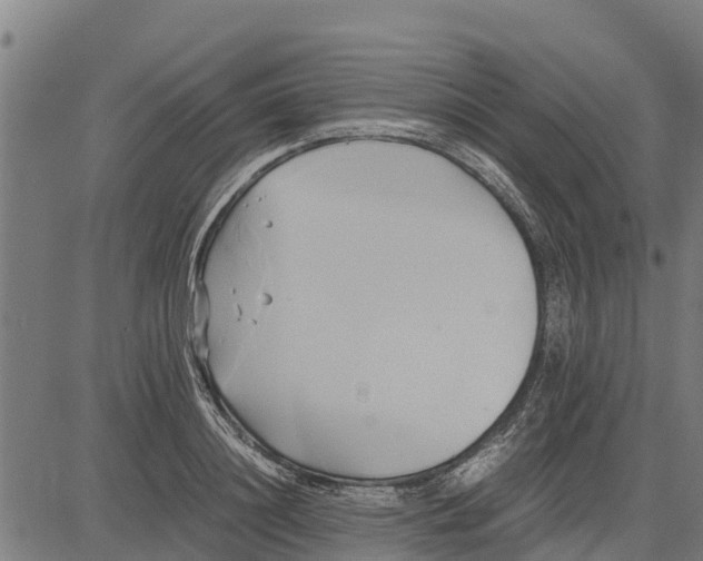 X0000083620844200703121626