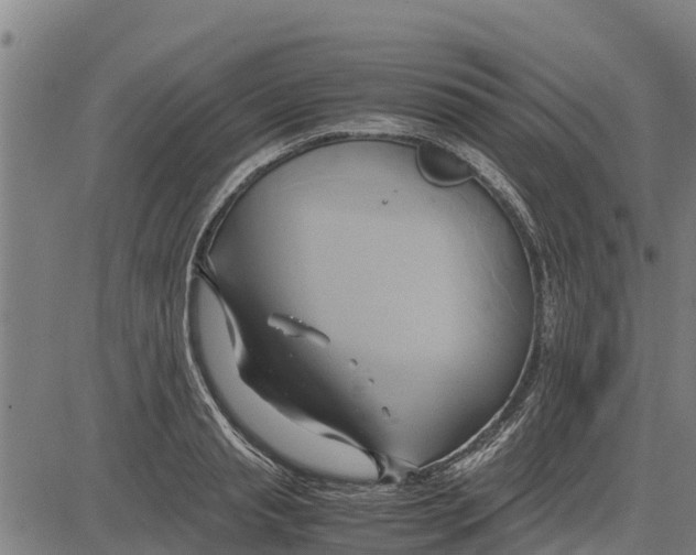 X0000083620845200703121626