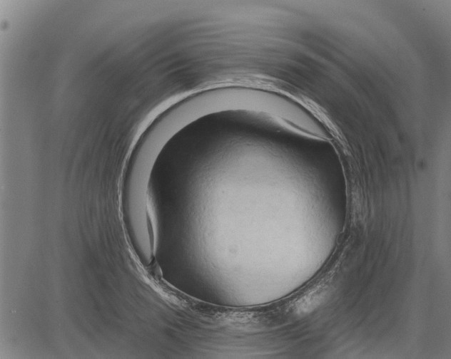 X0000083620846200703121626