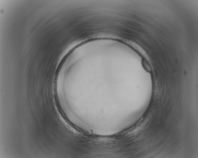 X0000083620847200703121626