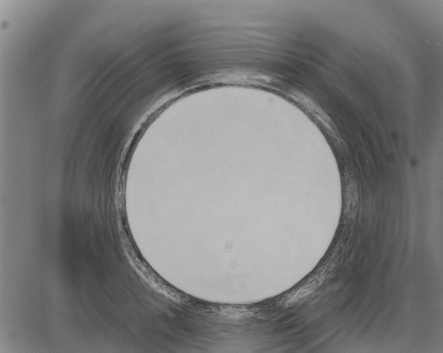 X0000083620848200703121626