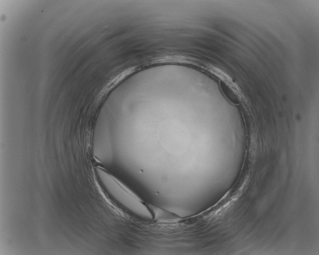 X0000083620849200703121626