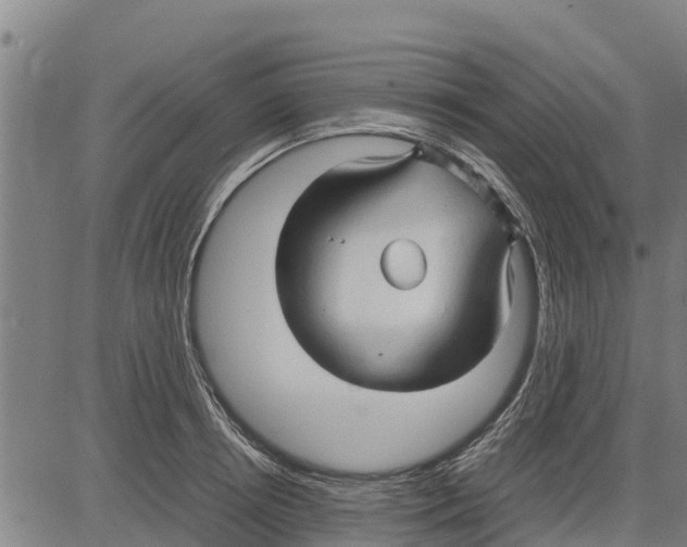 X0000083620850200703121626